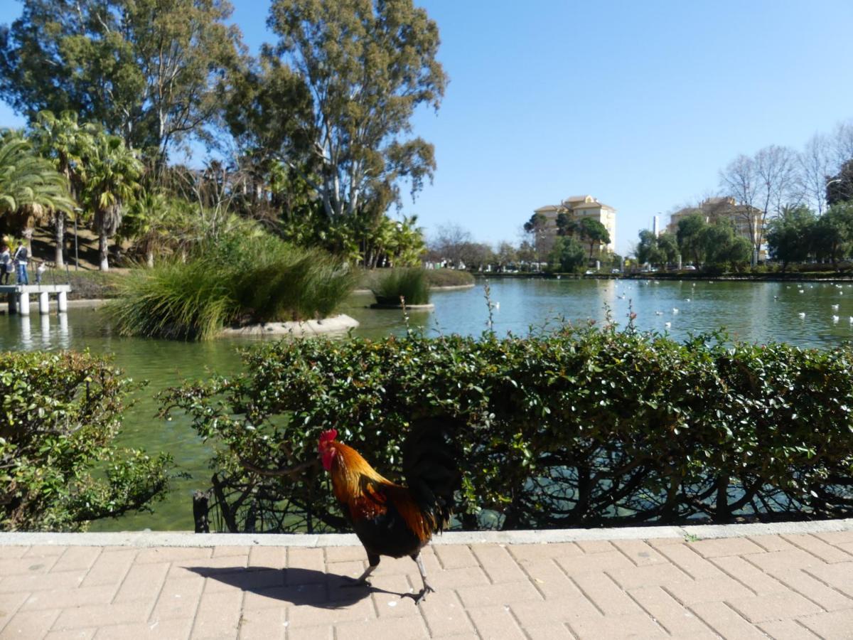 La Carihuela Torremolinos - Studio 3 - Costa Sol Holiday Rentals ภายนอก รูปภาพ